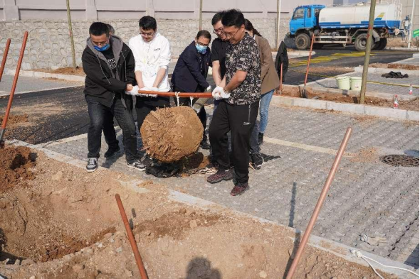 植樹節(jié)活動(dòng)新聞稿347.png
